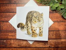 Load image into Gallery viewer, Animal Christmas Cards 2024 - Pack of 10 designs