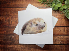 Load image into Gallery viewer, Animal Christmas Cards 2024 - Pack of 5 DESIGNS