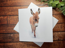 Load image into Gallery viewer, Animal Christmas Cards 2024 - Pack of 10 designs