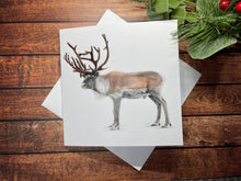 Load image into Gallery viewer, Animal Christmas Cards 2024 - Pack of 10 designs