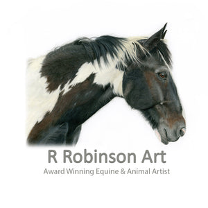 R Robinson Art