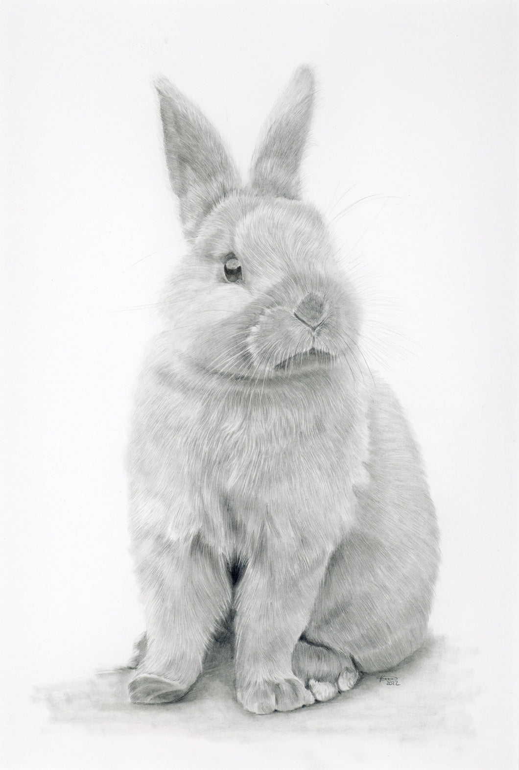 9 x 6 fine art print of the Bunny